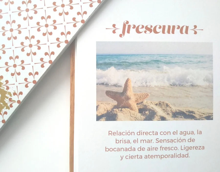 foto cojines