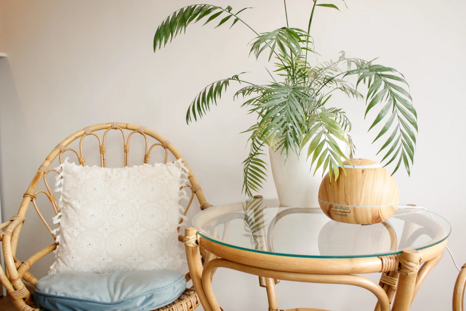 foto mesa de cristal con planta